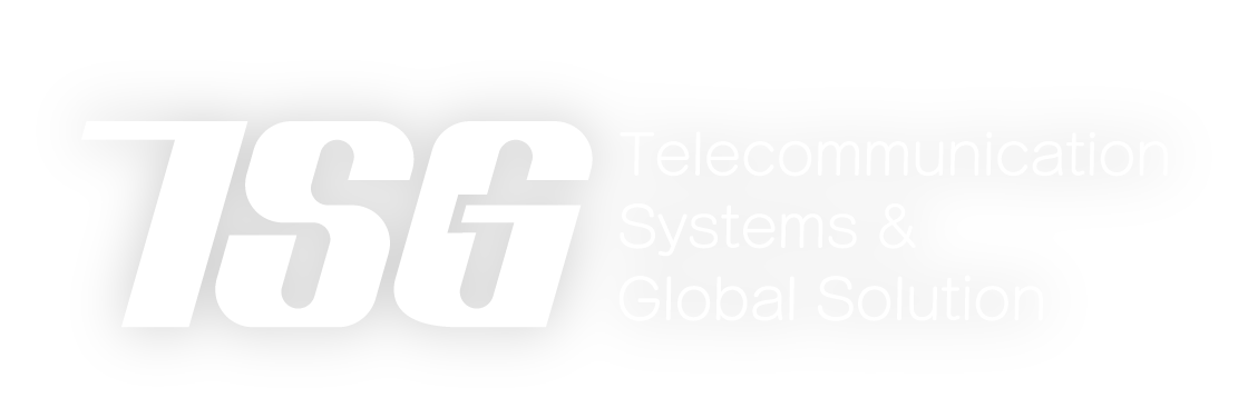 株式会社ティー・エス・ジー